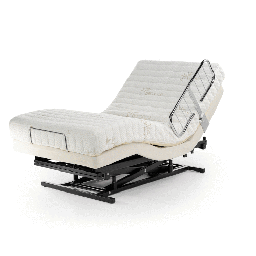 Burbank Electropedic