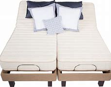 Burbank Electropedic