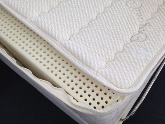 Burbank Electropedic The 7 Inch Latex Mattress